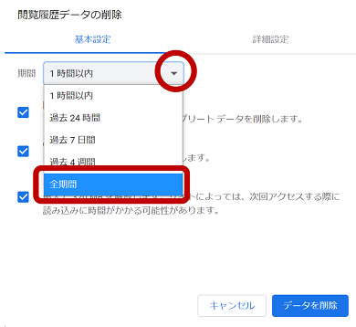 Google Chrome 3